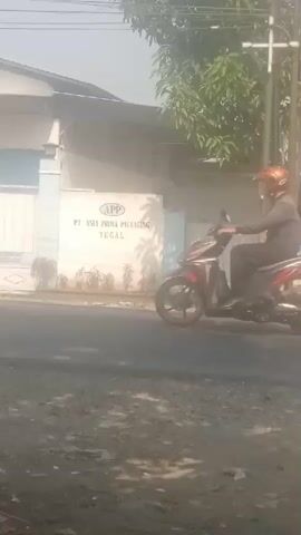 The video shows a street scene in front of a building with the logo "APP ASIA PRIMA PACKAGING TEGAL". There are trees in the background and power lines overhead. The road in the foreground is dirt and appears to be in disrepair. There is a slight haze or fog in the air, possibly dust. The video is shaky and appears to be shot from a moving vehicle.