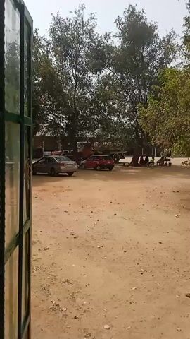 The video shows a dusty courtyard from behind a green, multi-paned door or gate. In the background, there are several cars and a large truck parked under the shade of large trees. People are sitting on benches or chairs in the distance. A man in a dark shirt and pants walks across the courtyard towards the trees. The ground is sandy and dirt-covered, with scattered pebbles and some vegetation. The lighting suggests it is daytime.