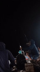 Night fishing in Tasikmadu yields a silvery catch