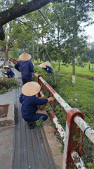 Groundskeepers maintain public spaces during morning hours in Da Lat