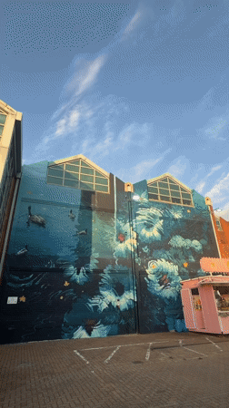 Evening scenes from London's Canada Water district captured by witnesses