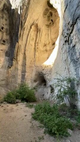 The video shows a low-angle view of a natural rock formation, possibly a cave or overhang, with sunlight illuminating the interior. The rock has an uneven, textured surface with various holes and indentations. Vegetation, including green bushes and tree branches, grows at the base and around the entrance of the formation. The sky is visible through an opening at the top, and it is a clear blue. The ground appears to be a mixture of dirt and small stones. There are no people or visible signs of human activity within the frame. The overall impression is one of a natural, weathered geological feature in an outdoor environment.