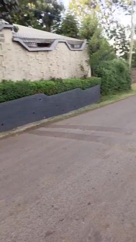 The video shows a low-angle view of a residential street. The camera appears to be moving forward along the asphalt road. On the right side of the road is a wall constructed of tan brick or stone. A dense row of green bushes runs along the base of the wall. A wavy, black, textured element sits between the road and the bushes. The light appears to be late-afternoon or early morning. There are trees visible behind the wall, adding to the general impression of a leafy suburban neighborhood.