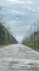 Vehicle travels netted road tunnel in rural Ukraine