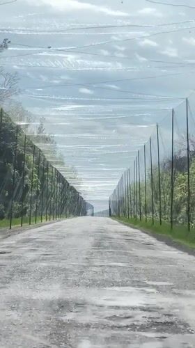 Vehicle travels netted road tunnel in rural Ukraine