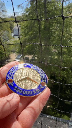 Munich resident celebrates Mercedes 500K milestone with garden commemoration