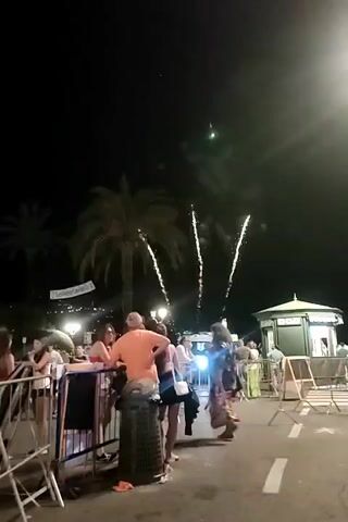 A fireworks display is occurring at night. Several bursts of white fireworks are visible in the dark sky, with palm trees silhouetted against them. A group of people are gathered and watching the fireworks. They are standing behind a metal barrier, and some are leaning on it. Some are wearing casual clothing. In the background, there are more lights and some structures, including what appears to be a kiosk or small building. The ground is paved, and there are some white lines painted on it, suggesting it is a street or walkway. The overall scene is festive and appears to be taking place outdoors.