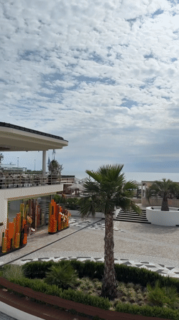 Iced drinks and downtime at a beachside café