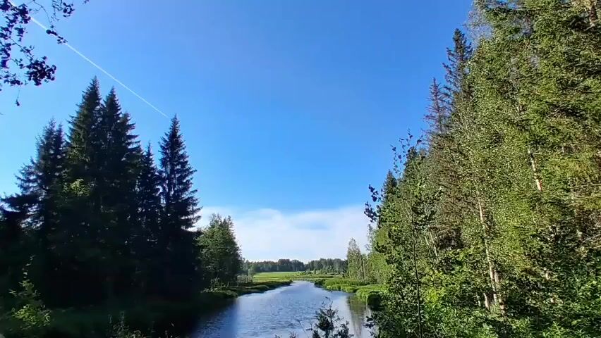 A wide shot shows a calm river flowing through a forest under a clear blue sky. On the left side of the river are tall, dark green evergreen trees, and on the right are lighter green deciduous trees. In the distance, the river appears to widen into a marshy area with a treeline visible on the horizon. A thin white contrail from an airplane is visible in the upper left quadrant of the sky. The camera appears to be stationary.
