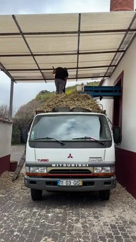 A white Mitsubishi Canter truck, identifiable by its grill logo and license plate "11-03-QS" is parked under a metal awning. A man in a black t-shirt and baseball cap stands on top of the truck bed, using a long-handled tool to move a large pile of dry, shredded plant material into a blue machine. The surrounding environment includes a white and red building, a ladder, and a stone-paved area. The scene appears to be rural, with glimpses of vegetation and hills in the background. The sky is overcast.
