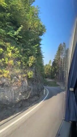 The video shows a view from the window of a moving vehicle, likely a bus. The camera is pointed to the left, capturing a winding road through a dense, green forest. The road is paved and has white lines marking its edges. On the left side of the road, a steep, rocky embankment covered with vegetation rises sharply. Tall evergreen trees dominate the landscape, with sunlight filtering through their branches. The sky is a clear, bright blue. On the right side of the frame, a dark blue curtain is visible, obscuring part of the window and the interior of the vehicle. The vehicle appears to be navigating a mountainous or hilly terrain.
