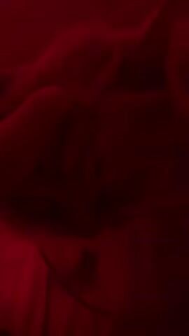 A close-up shot of a cat's face is shown, illuminated by red light. The cat appears to be lying down on a white surface, possibly a blanket or bed. The lighting creates a dramatic effect, casting shadows and highlighting the cat's features, such as its eyes and nose. The cat's eyes are partially closed, and its expression is calm. The overall mood of the video is intimate and peaceful.