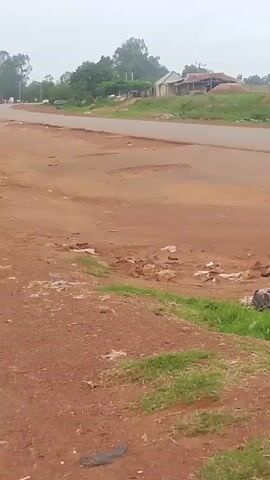 The video shows a dirt road with a few potholes. There are some buildings in the background, along with trees and vegetation. A green and yellow auto-rickshaw is driving on the road. The sky is overcast.