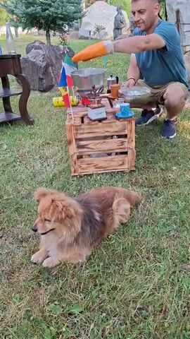 A man is kneeling on grass in a yard, preparing coffee. He is wearing a blue t-shirt and khaki shorts. He holds a metal pot in his right hand, pouring coffee grounds into a metal dish. In front of him is a wooden crate serving as a table, with a coffee maker, a small can, two small flags (Italian and Russian), and a blue teacup on it. A medium-sized, fluffy brown dog is lying on the grass in front of the crate, watching the man. In the background, there are large rocks, trees, and a part of a building. The scene appears to be outdoors.
