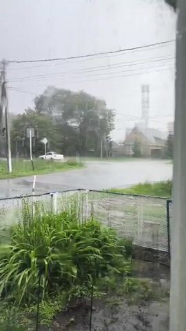 The video shows a view from a window looking out onto a street during a heavy rainstorm. The rain is visible as streaks on the windowpane and in the air, creating a blurry effect. The street is wet and appears to have standing water in some areas, indicating flooding. Trees are visible on the sides of the road, their leaves rustling in the wind. A white car is parked on the left side of the road, and a white signpost is also visible. In the background, there is a building with a tall, industrial-looking structure next to it. In the foreground, there is a patch of tall, green plants behind a fence. The overall atmosphere is one of a stormy and wet day.
