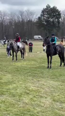 The video shows a group of horses and riders in a grassy field with trees in the background.  There are at least four horses visible, varying in color from gray to brown to black. Each is ridden by a person wearing riding gear, including helmets. A person in a brown jacket is walking through the field. There are some poles and markers set up, suggesting an equestrian event. The sky is overcast. The horses and riders are mostly standing still, seemingly preparing for or resting after an activity. One of the brown horses is turning its head.