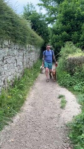 A man with tattoos walks a brown dog on a leash towards the camera on a dirt path. He wears a blue t-shirt, green and blue patterned shorts, and sandals. As he passes, a woman walks a white dog on a leash, heading in the opposite direction. She wears a black t-shirt, patterned pants, and sandals. The path is bordered by a stone wall on the left and green bushes and trees on the right.