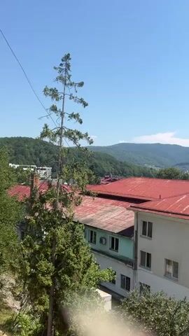 This is a vertical video of a cityscape with rolling green hills in the background. The sky is a clear blue. In the foreground, there is a tall, slender evergreen tree. Behind the tree, several buildings with red tiled roofs are visible. The buildings appear to be multi-story with cream-colored walls and numerous windows. Some buildings have sections with a light green exterior. A thin black wire is visible stretching diagonally across the upper portion of the frame. Trees with green foliage are interspersed throughout the scene. The overall impression is a daytime view of a town nestled in a hilly, natural landscape.
