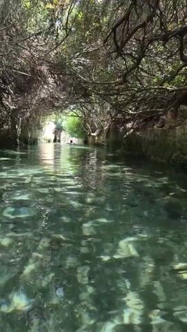 The video shows a first-person perspective of someone moving through a narrow, tree-lined waterway. The water is clear and shallow, with visible rocks and aquatic plants on the bottom. The trees arch overhead, creating a natural tunnel effect. Sunlight filters through the leaves, casting dappled patterns on the water's surface. In the distance, a person can be seen swimming or wading in the water. The sides of the waterway appear to be lined with rocks and earth. The overall impression is one of a serene and natural environment.
