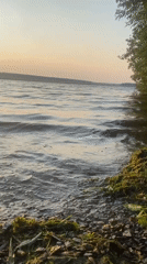 Golden hour at the lake shore in Smolino, Russia