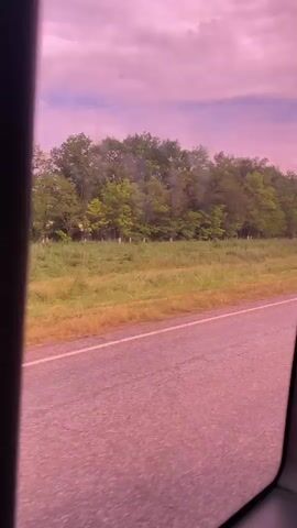 The media file captures a view from inside a vehicle, looking out the window. The scene is a rural landscape, characterized by a paved road in the foreground, bordered by a strip of dry grass and then a dense line of trees. The trees are lush and green, suggesting a warm season, likely spring or summer. Beyond the trees, the sky is visible, filled with soft, pinkish clouds. The overall lighting and color palette create a dreamy, almost surreal atmosphere, possibly due to tinted windows or a specific filter applied to the footage.

The activity depicted is passive observation of the passing scenery, typical of a journey by car or bus. The time of day appears to be either early morning or late afternoon, given the soft, diffused light and the cloud coloration, which hints at twilight hues. The weather seems to be overcast or partly cloudy, with the clouds dominating the sky.

There are no people or distinct objects visible besides the natural elements and the road. The setting is consistent with a rural or semi-rural area in Moskovskoe, Russia, given the provided location context. The emotions evoked are likely peacefulness, contemplation, or a sense of transit. No text is visible in the media file.