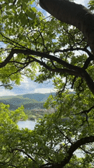 Scenic hillside town captured among green landscape