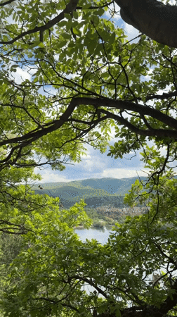 Scenic hillside town captured among green landscape