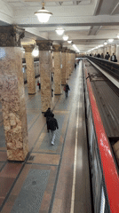 Moscow Metro train arrives at ornate subway station