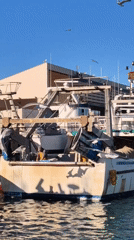 Afternoon harbor life documented at Port of Dénia, Spain