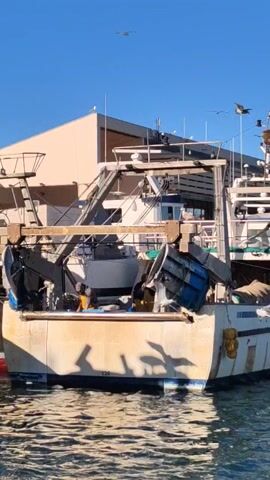 The video shows the stern of a white fishing boat in the water. Several seagulls are flying around the boat. Three men are working on the boat. The boat is docked next to a light brown building. The sky is blue. The water is choppy, and the boat's shadow is cast on the water.