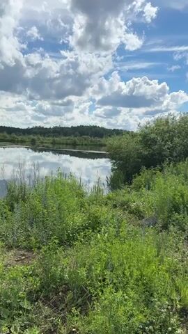 This is a vertical, first-person perspective video of a body of water and surrounding vegetation. The sky is bright blue with fluffy white clouds, and the sun is visible through some of the clouds. The water reflects the sky and surrounding greenery. In the foreground, there is lush green grass and other plants. In the middle ground, there is a dense cluster of green bushes and trees. In the background, there is a forest. Towards the end of the video, a large, rusty barrel is visible lying on its side amidst the vegetation. There are no people visible in the video.