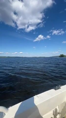 This is a first-person perspective video shot from a moving boat on a large body of water, likely a river or lake. The scene is set on a bright, sunny day with a clear blue sky dotted with fluffy white clouds. The water is dark and choppy, reflecting the sky. On the horizon, a lush green tree line stretches across the landscape, suggesting a natural, possibly forested, environment. The boat itself is white and appears to be a small recreational vessel, with a white railing visible in the foreground, held by a person's hand. The activity taking place is a boat ride, likely for leisure or exploration. The overall mood is peaceful and serene, evoking a sense of summer enjoyment and connection with nature. There is no visible text in the media.