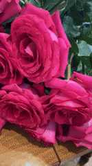 Resident documents pink rose arrangement process in Votkinsk