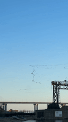 Stone-skipping and bird migration observed simultaneously in Russian riverside town