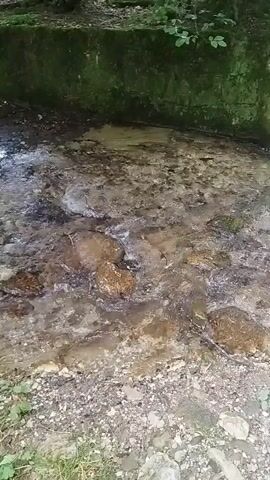 The video pans across a shallow, clear stream flowing over a rocky bed in a wooded area. Lush green foliage, including trees and moss-covered rocks, lines the banks of the stream. The water appears to be moving gently, with small ripples and occasional splashes visible. The ground adjacent to the stream is covered in pebbles and dirt. The overall scene is peaceful and natural, suggesting a forest or park setting. There are no people or animals visible in the video.