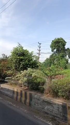 This video appears to be captured from a moving vehicle, likely on a road. The scene predominantly features a roadside environment with various trees and foliage. A concrete barrier with yellow and black markings separates the road from the area with vegetation. In some frames, utility poles and wires are visible against a partly cloudy sky. There is also a glimpse of a white truck with a cargo container, and the side of another vehicle or structure with red and black stripes. The overall impression is of a typical roadside view from a journey.