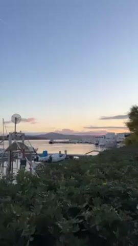 The video presents a view of a harbor at dusk. In the foreground, dense green foliage frames the scene. Beyond the foliage, various small boats are moored in a marina. A tall structure with a satellite dish-like device is visible, partially obscuring some of the boats. In the background, the sky is a gradient of light blue to pink, indicating the sunset or sunrise. Buildings, likely part of a town or village, can be seen along the waterfront in the distance. A contrail is visible across the sky.
