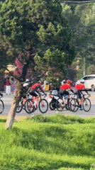 Morning recreation captured in Da Lat: cycling, fishing, picnicking