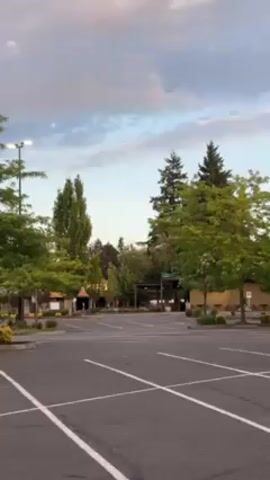Here is a description of the video:

The video shows a daytime view of an empty parking lot, with a building in the background. The lot is mostly empty, with white parking lines clearly visible. Trees line the perimeter of the parking area, providing a green contrast to the asphalt. The sky is cloudy with a hint of blue.  Gunshots can be heard in the video.