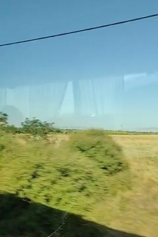 The video shows a landscape viewed from a moving vehicle, likely a train, as indicated by the blurring of the scenery. The sky is a clear, bright blue. The foreground consists of fields of dry, yellowed grass with some green vegetation interspersed. In the mid-ground, there are patches of green fields and some trees. Distant hills or mountains can be seen on the horizon. There are also reflections on the glass of the vehicle, obscuring some parts of the view. The overall impression is of a sunny day in a rural or agricultural area.