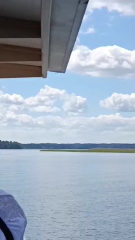 The video shows a view from a boat moving across a body of water on a cloudy day. The water is calm with small ripples. In the distance, a treed shoreline can be seen. The underside of the boat's roof is visible in the foreground, as is a railing.
