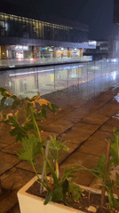 Rainy night emergency response, indoor activities in Tlaxcalancingo