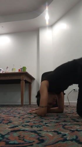Group yoga and dance session observed in Porlamar