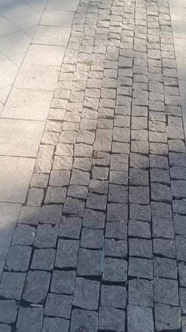 The video shows a person walking down a sidewalk paved with small, grey cobblestones. The cobblestones are arranged in neat rows and are bordered on either side by smoother, lighter grey concrete. There are a few small pieces of plant matter and fallen leaves scattered on the cobblestones. The video is shot from a first-person perspective, looking down at the ground, with the person's feet occasionally visible at the bottom of the frame. The lighting suggests it is daytime and sunny, as there are distinct shadows cast on the cobblestones.