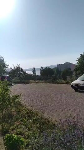The video shows a parked white van in a paved lot. There are trees and buildings in the background, and the sky is clear and blue with the sun shining. Lavender bushes are in the foreground. The van is stationary for the duration of the clip.