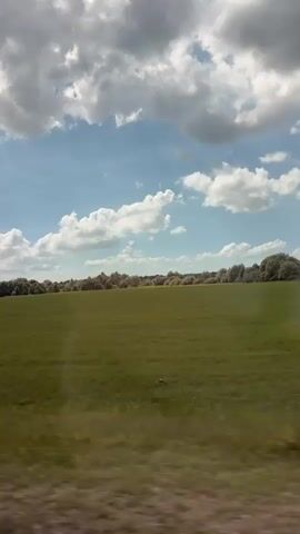 The video shows a wide, green field under a cloudy blue sky. A line of trees forms a distant horizon across the field. The camera appears to be moving, possibly from a vehicle, as evidenced by the slight motion blur along the bottom of the frame, suggesting a landscape viewed through a window while traveling.