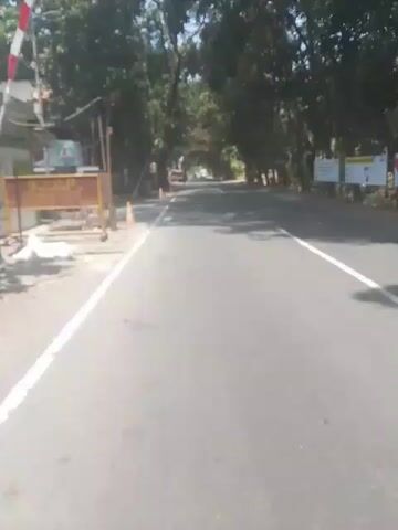The video shows a point-of-view perspective from a vehicle moving forward on a paved road. The road is lined with trees on both sides, creating a canopy effect with dappled sunlight and shadows on the road. There are traffic cones visible along the left side of the road. On the left side, there are also some buildings and structures, and a person can be seen sitting near a building. On the right side of the road, more trees are visible, and in the distance, there are more vehicles and some buildings. The sky is bright and appears to be sunny. The overall environment suggests an outdoor, possibly suburban or semi-rural setting.
