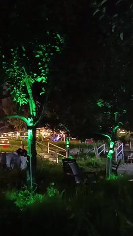The video captures a nighttime scene in an outdoor area, likely a garden or park. Several trees are illuminated with green lights, with some lights appearing to wrap around their trunks and branches. In the background, there are blurred lights, possibly from a building or other decorative lighting, suggesting the presence of an establishment such as a restaurant or event space. A white railing and stairs are visible, indicating a pathway or elevated area. In the foreground, there is grass and foliage, with a dark-colored chair positioned in the middle ground. The lighting shifts from green to blue at around 00:03, with the trees then illuminated in blue. A person is visible sitting at a table on the left side of the frame, partially obscured by a tree.