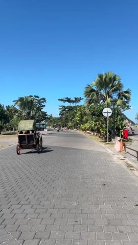 A low-angle, full-shot, vertical video shows a paved walkway leading away from the camera under a clear blue sky. To the left of the walkway, a small wooden cart with two wheels is positioned. The cart is loaded with hay or grass. Further down the walkway, several figures on bicycles are visible, moving away from the camera. Trees with large palm fronds and other lush green foliage line both sides of the walkway. A white circular sign on a pole is visible on the right side of the walkway, as is a red trash can. The sun is shining brightly, casting shadows and illuminating the scene.