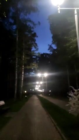 The video shows a perspective of a park path at twilight. The sky is a deep blue, suggesting dusk or dawn. Tall trees line both sides of the path, with their leaves forming a canopy overhead. Several lampposts with bright lights are visible, illuminating the path ahead. The path itself appears to be paved with interlocking stones or bricks. The camera is in motion, moving forward along the path, causing some slight blurring of the trees and lights, especially towards the end of the clip where the focus becomes less sharp.